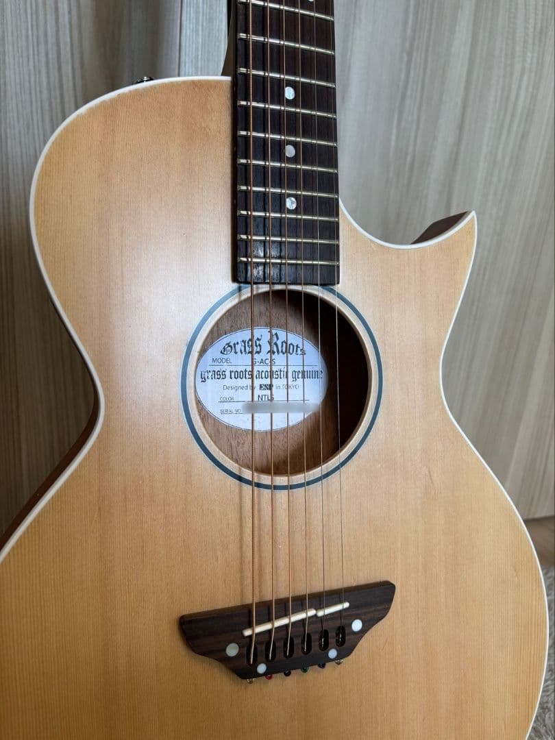 ギター GrassRoots G-AC-45