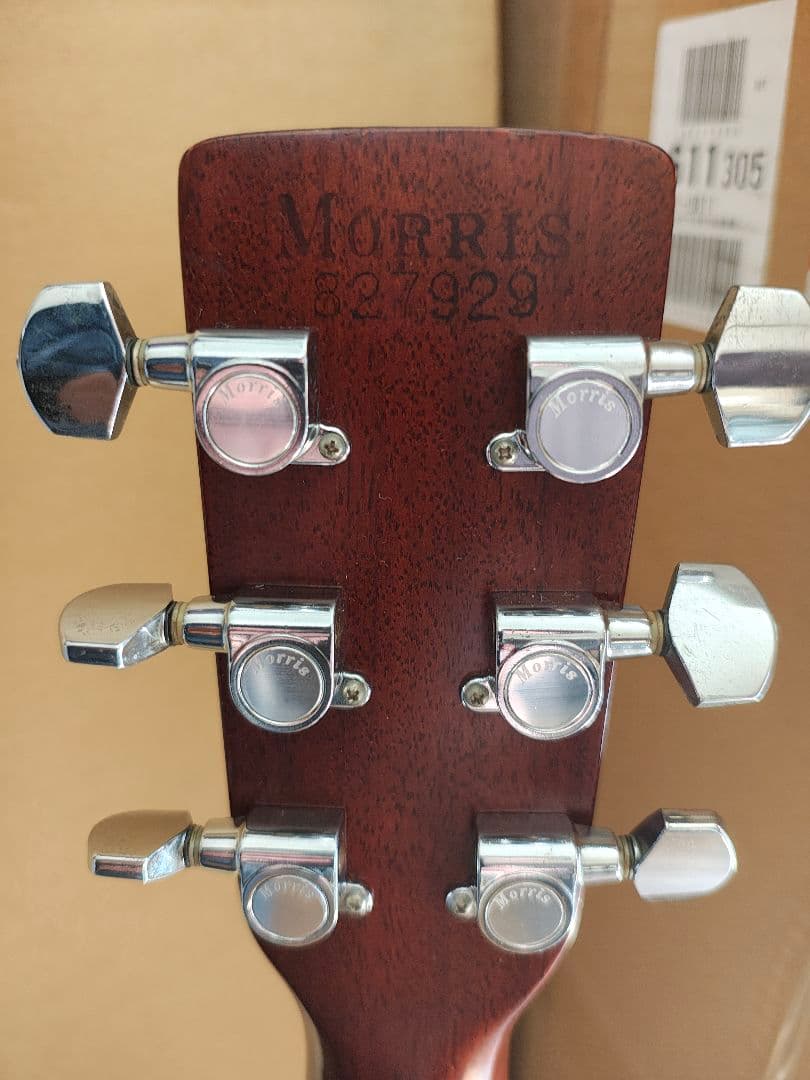 MORRIS アコースティックギター　w40