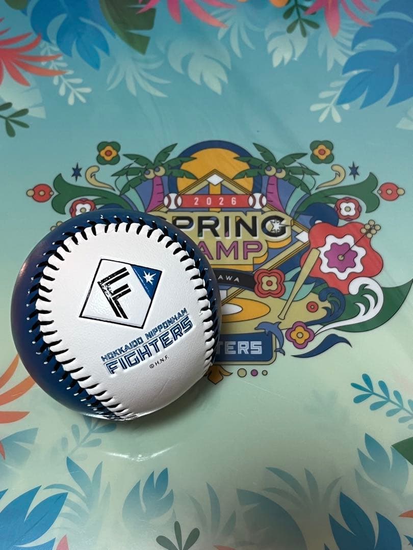 日本ハムファイターズ 有原航平 直筆サインボール ロゴ球