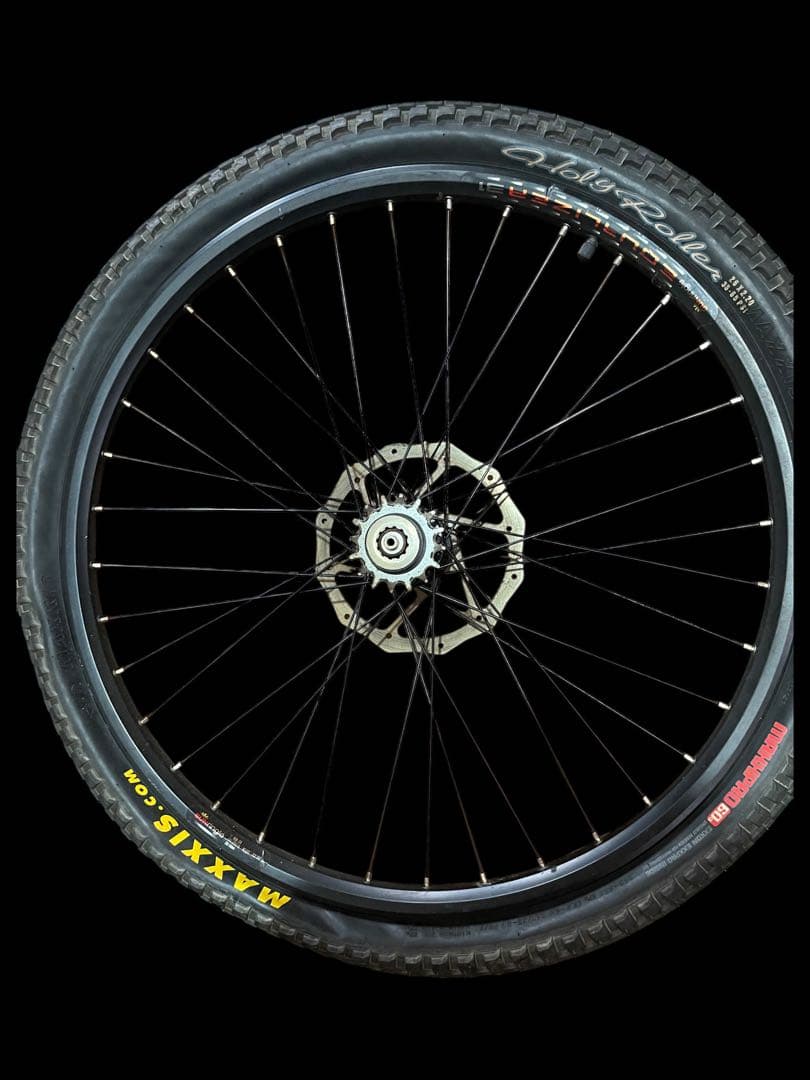 ⭐️マウンテンバイク⭐️ホイールDT SWISS 420L ⭐️タイヤMAXXIS