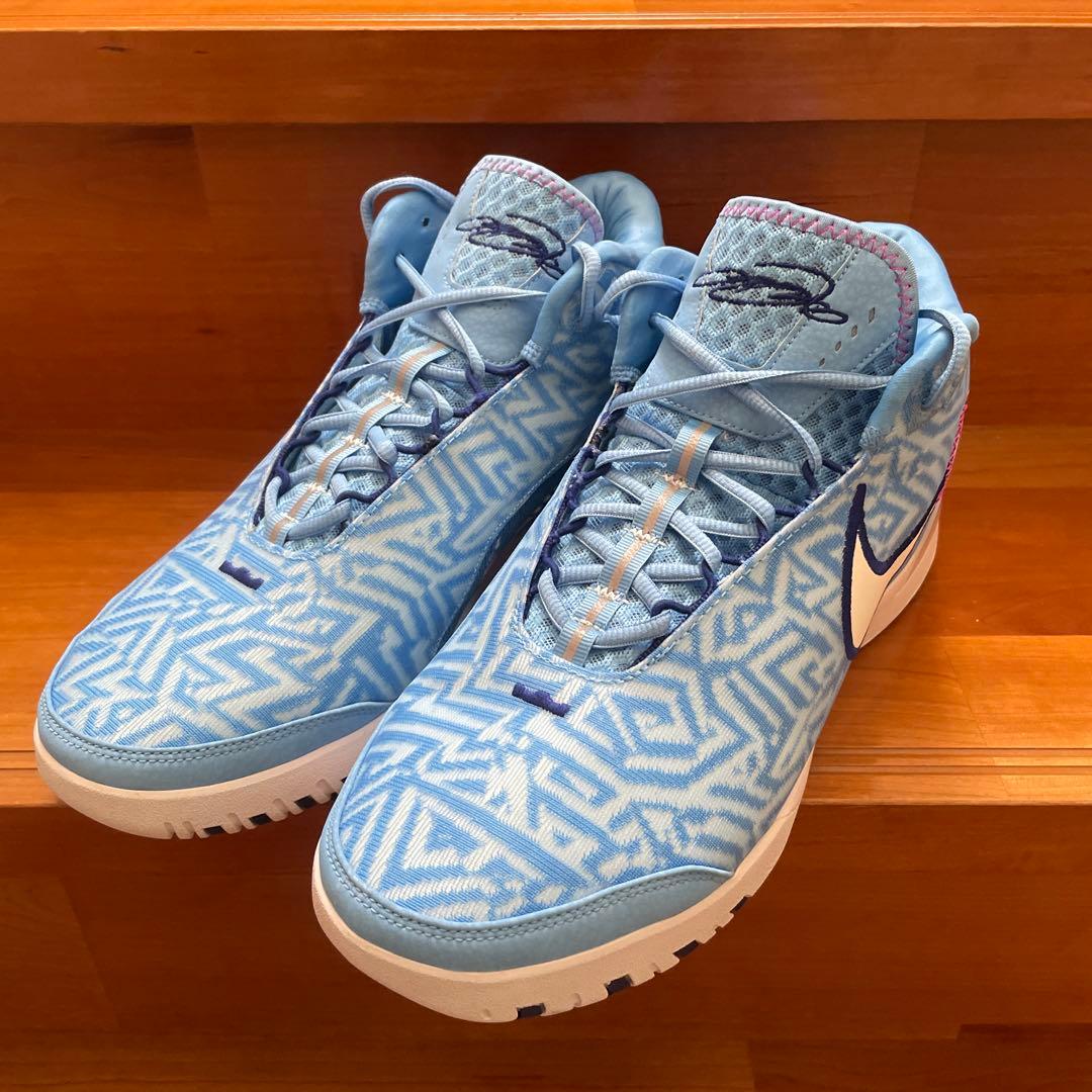 シューズ(男性用) NIKE LEBRON NXXT GENISUS EP HF0711-402