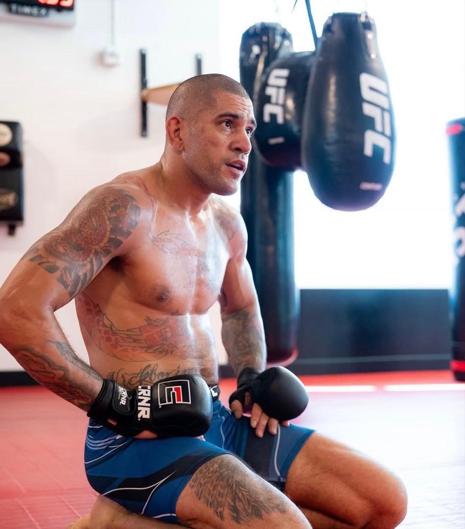 【激レア・日本未発売】CRNR MMAスパーリンググローブ