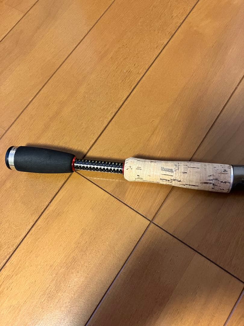 EGカレイド　Stingray 66 デジーノ