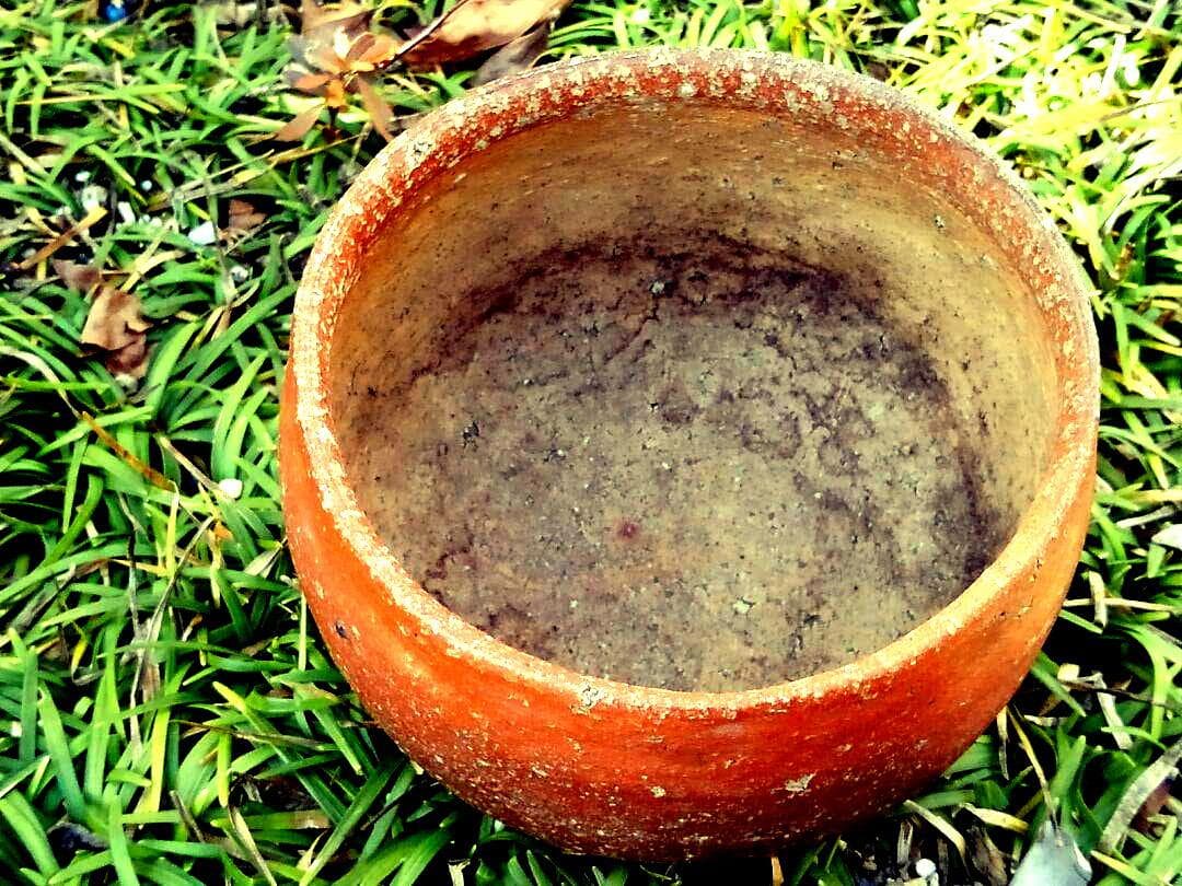 ♥大変に古い　信楽　茶碗　桐箱付き　骨董品