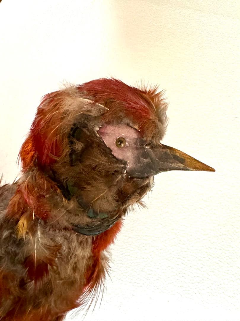 一点物★ 鳥オブジェ キャンドルジュンundercover