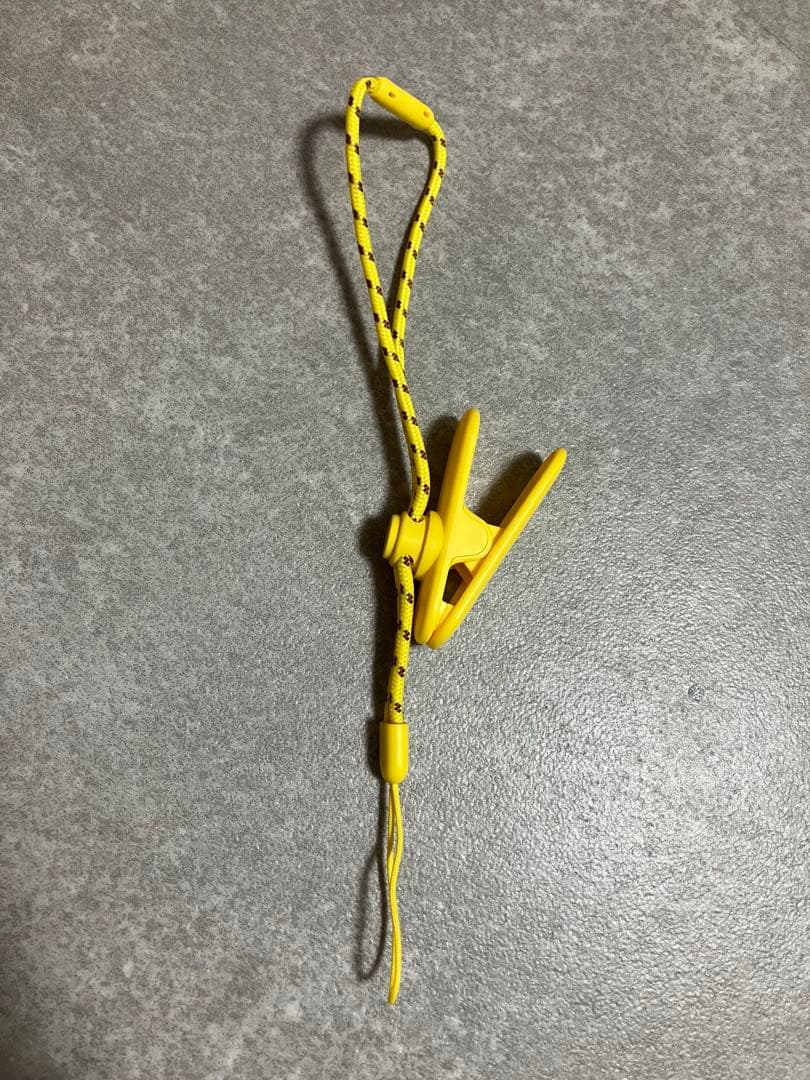 その他 Pokemon GO Plus