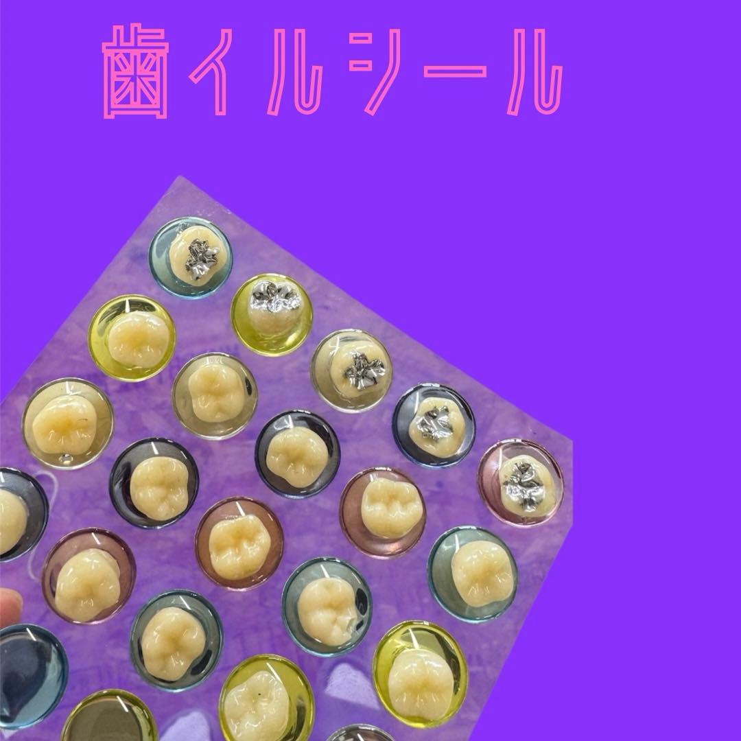 歯イルシール 歯ールペン オーダーページ3