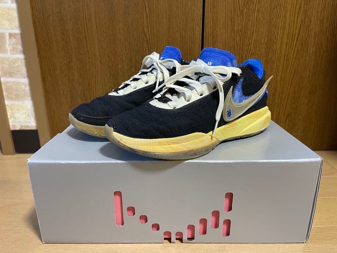 LEBRON XX UN EP レブロン20 24.5cm バッシュ　ナイキ