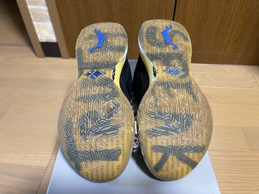 LEBRON XX UN EP レブロン20 24.5cm バッシュ　ナイキ