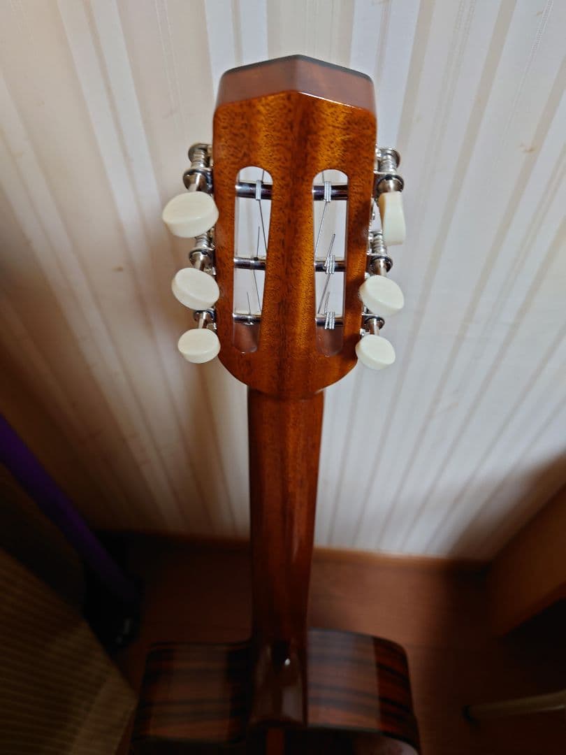 Stringphonic Basic Limited Plus Newマカフェリ