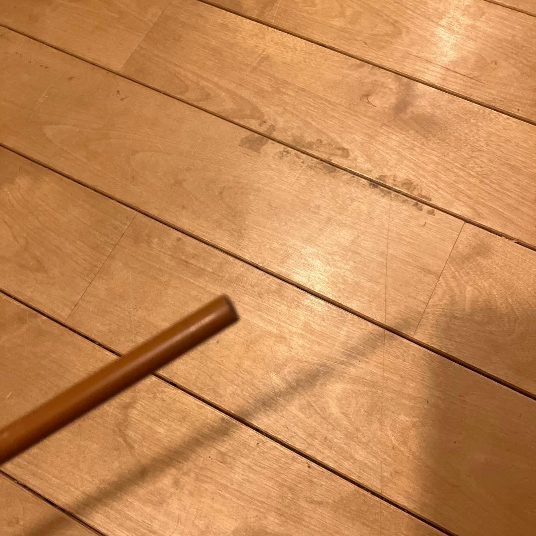 フィリップソン　釣竿　ブランクのみ