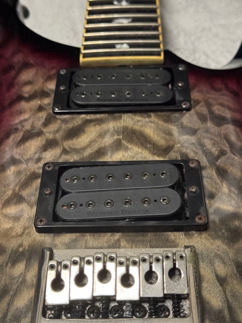 ギター PaulReedSmith SE Mark Holcomb signature