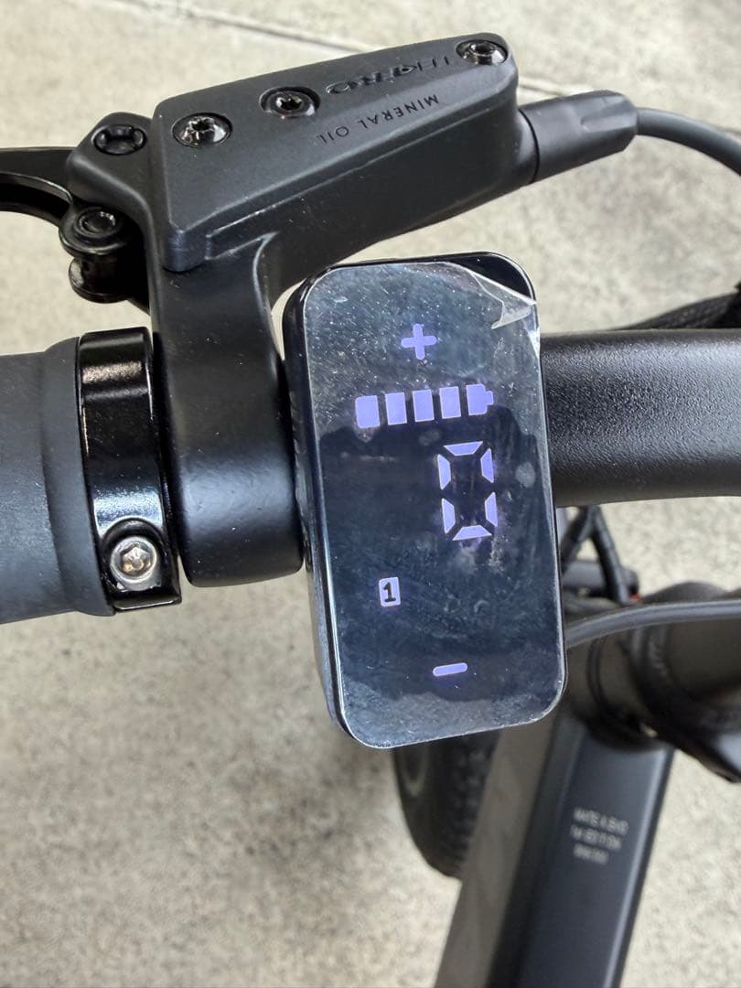 【世界300台限定】 MATE X EVO 配達無料地域あり　MATEBIKE