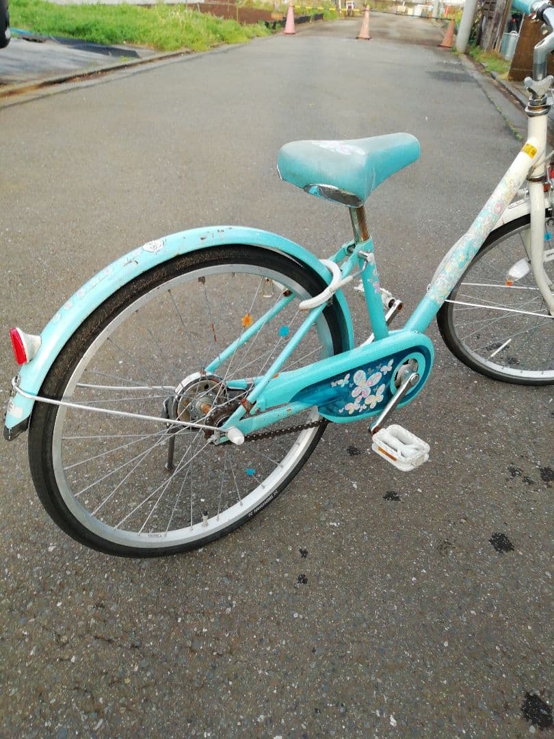 ブリヂストン子供用自転車　22インチ　エコパル
