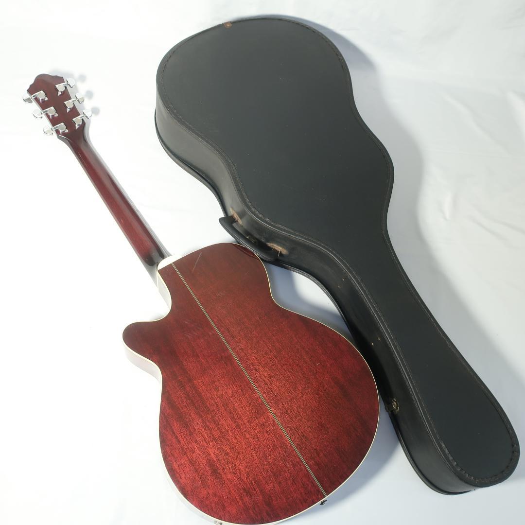 Ibanez AEG450 TP エレアコ ギター ハードケース付 虎杢パープル