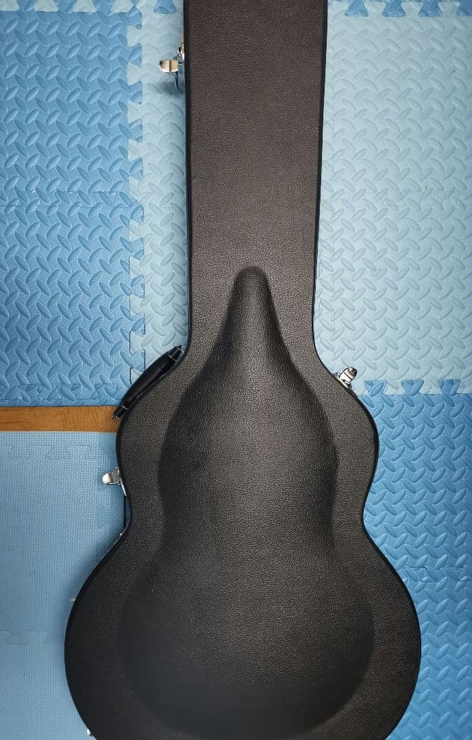 VOX Bobcat S66 with Bigsby ジェット・ブラック