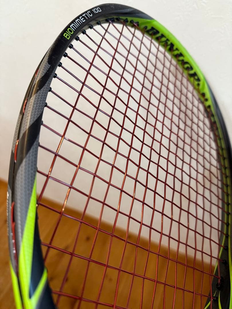 DUNLOP BIOMIMETIC 100【2本セット】