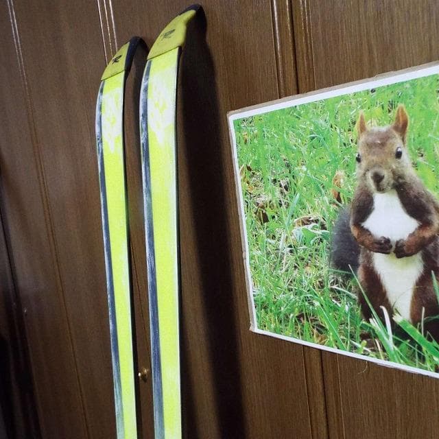 美品_ジュニア競技用_Rossignol 8SV _165cm