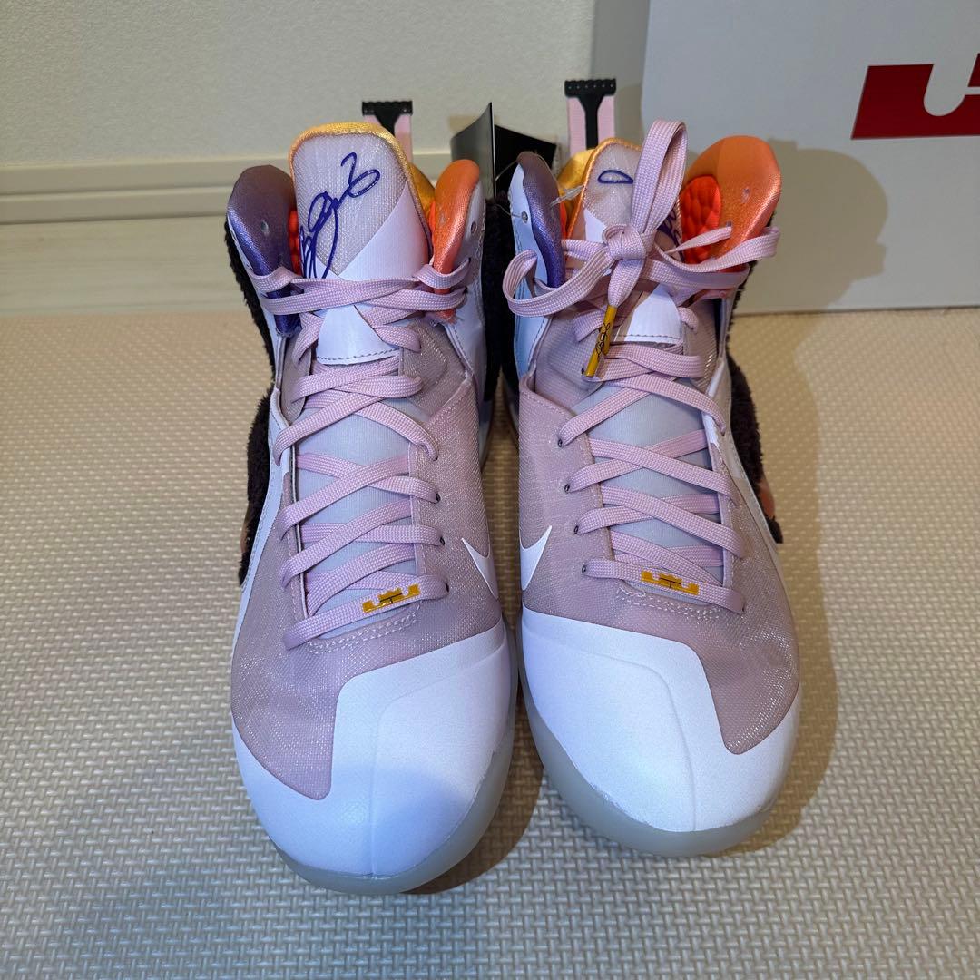 【新品未使用箱付き】NIKE LEBRON IX DJ3908-600