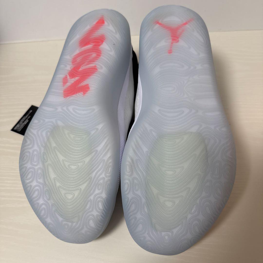 Jordan ZAION ジョーダン　ザイオン４ 27cm