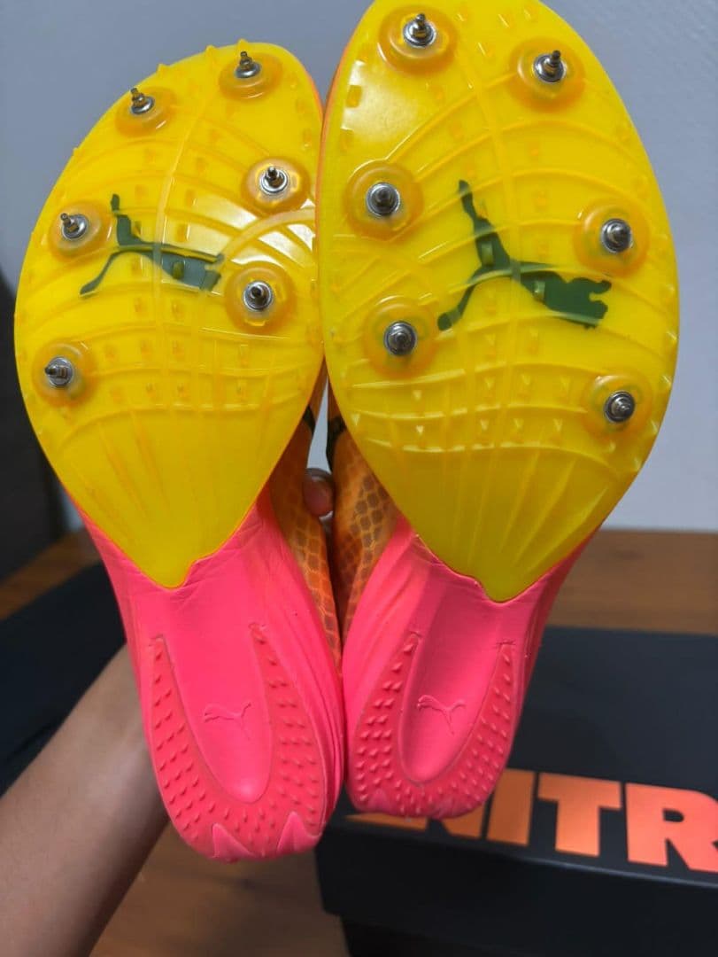 puma エヴォスピードディスタンス　25.0cm　25cm ドラゴンフライ