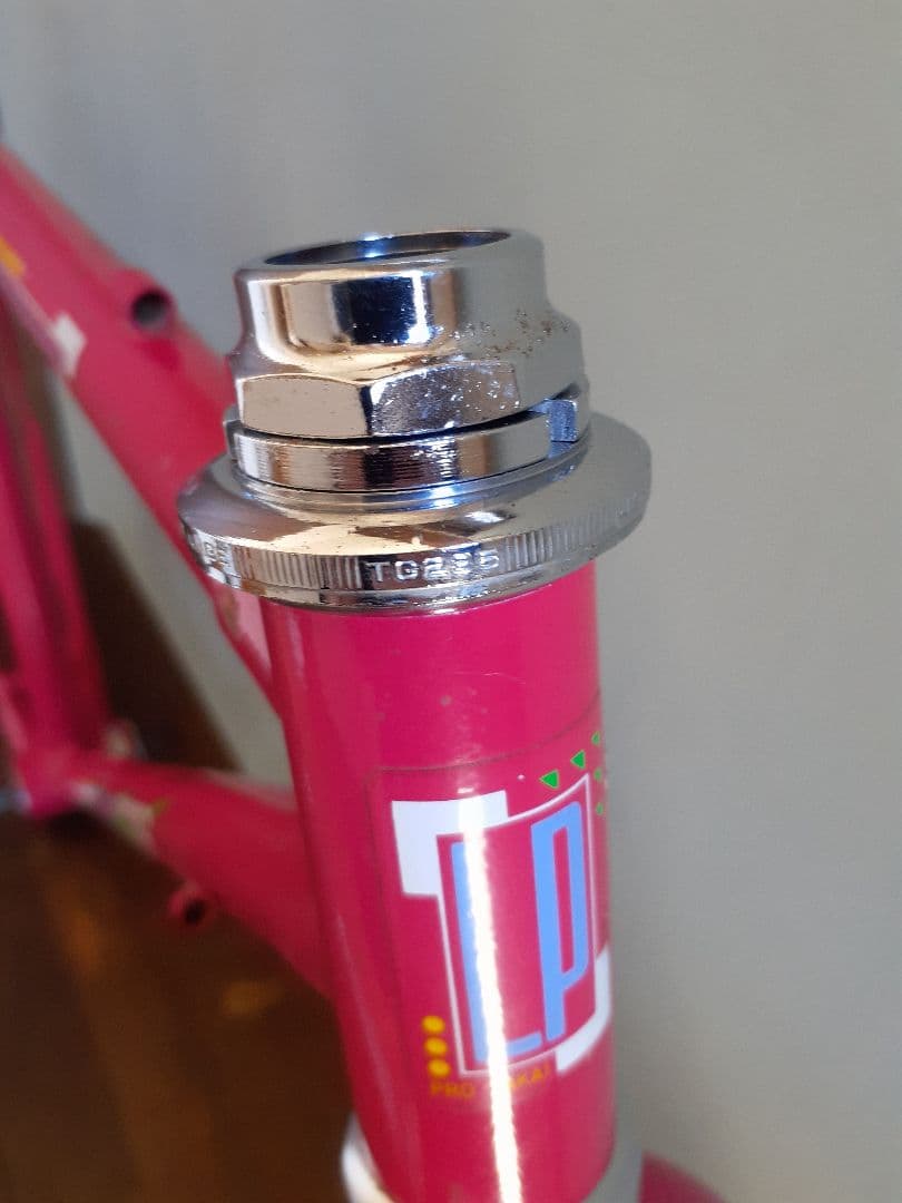 PRO TAKAI OLD MTB フレーム&フォーク 90年代