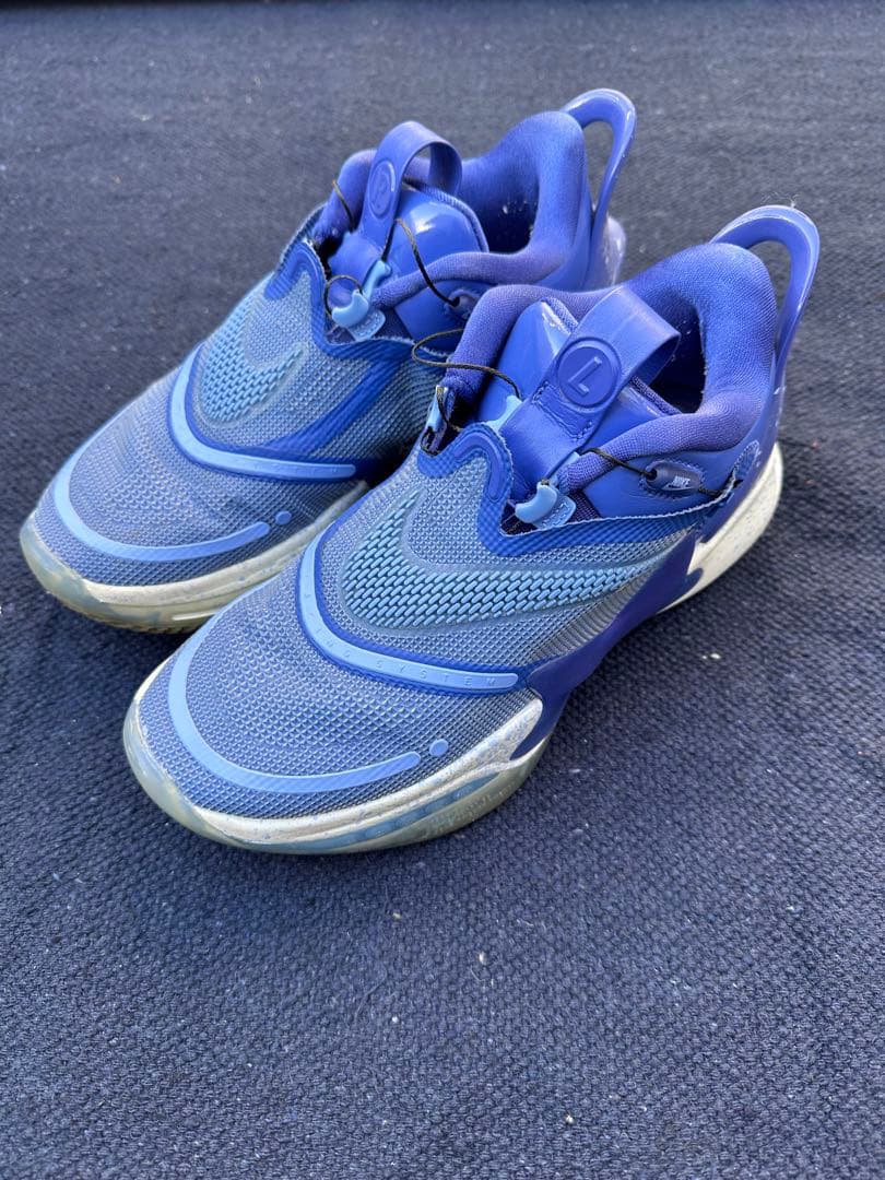 シューズ(男性用) Nike adapt bb 2.0. (25cm)