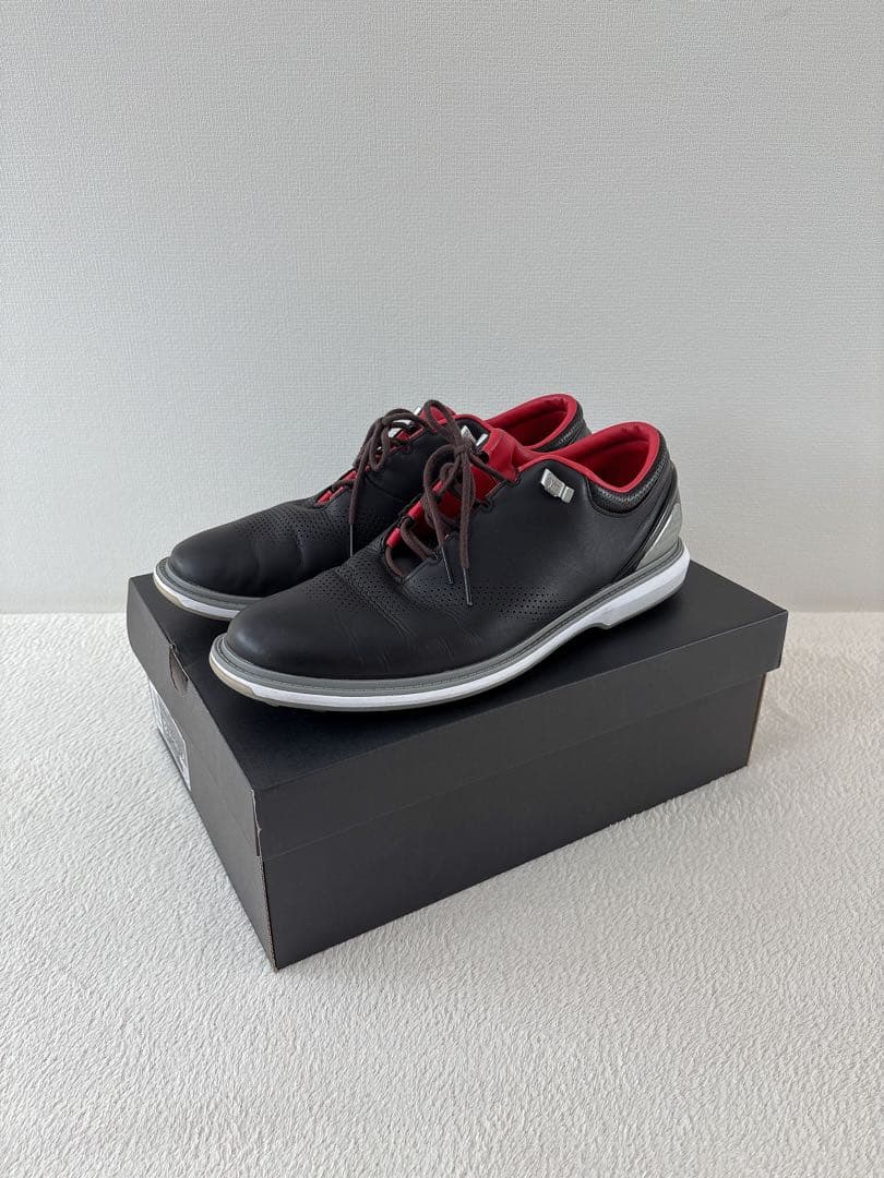 【送料無料 美品♡】NIKE ゴルフシューズ ジョーダンADG4 30センチ