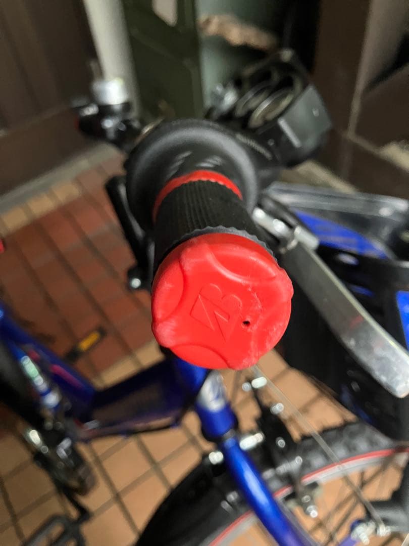 【美品　東京都】ブリジストン　エクスプレスジュニア　22インチ　自転車　子供