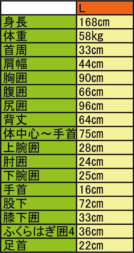 国内生産/ALL3mフルスーツ/クラッシックウェットスーツ/レディースLサイズ