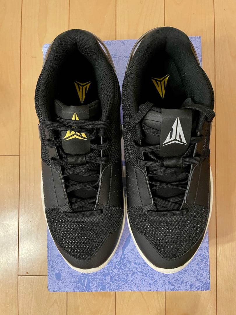 NIKE、JA1 EP、29センチ