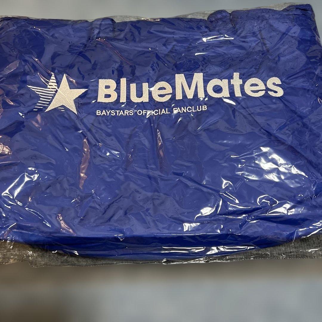 匿名★横浜DeNAベイスターズ★ファン感BlueMates非売品グッズまとめ売り