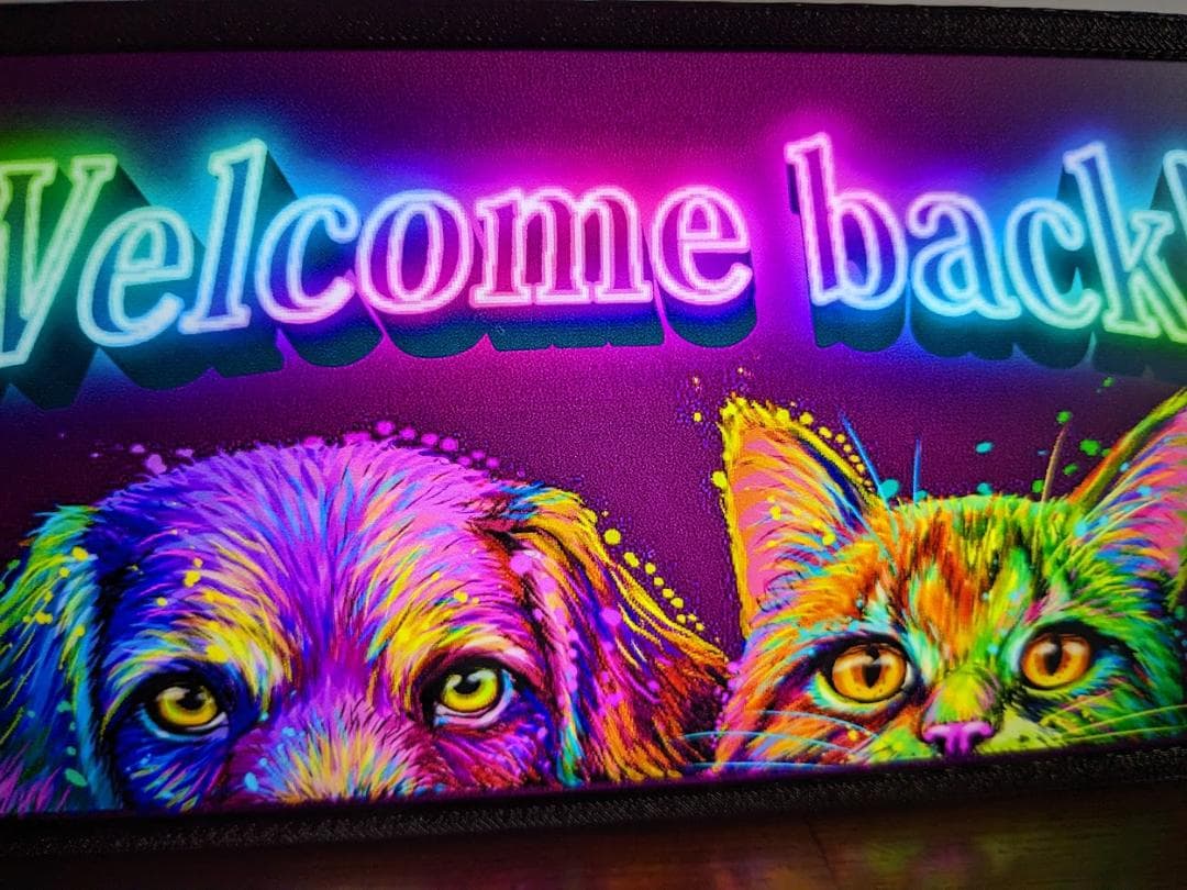 ワンちゃん 猫ちゃん おかえり サイン 看板 雑貨 LED2wayライトBOX