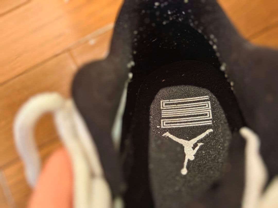 NIKE Air Jordan 11（エアジョーダン11）29cm