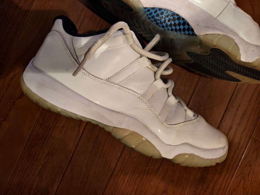 NIKE Air Jordan 11（エアジョーダン11）29cm