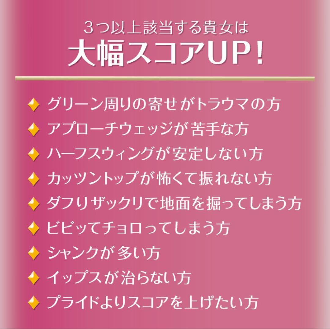 ラクに10打縮まる「お助けチッパー」誕生★ ダイナミクス ツアーチッパーレディ