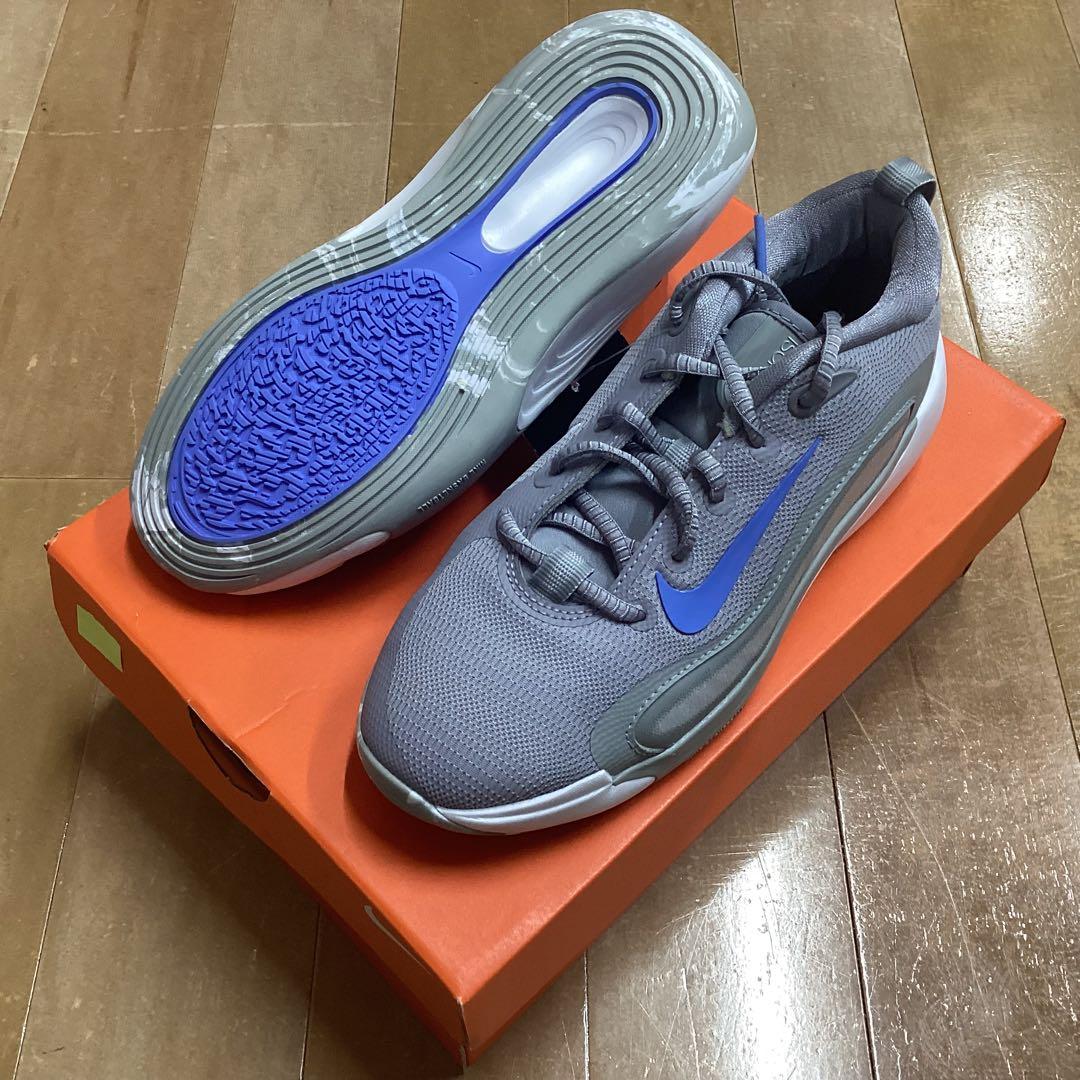 シューズ(男性用) NIKE ISOFLY(GS) 002 23.0cm
