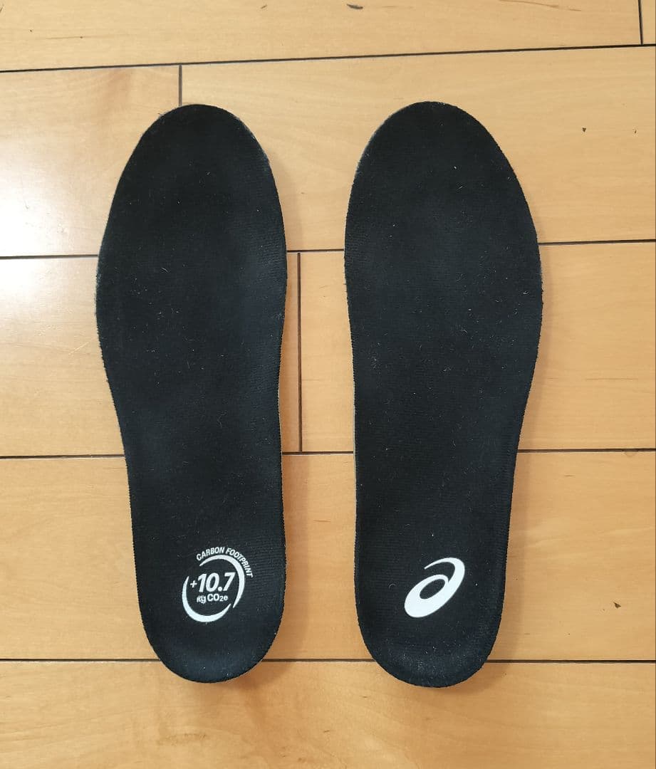 アシックス　ASICS　GEL-KAYANO　ゲルカヤノ30 26.0cm