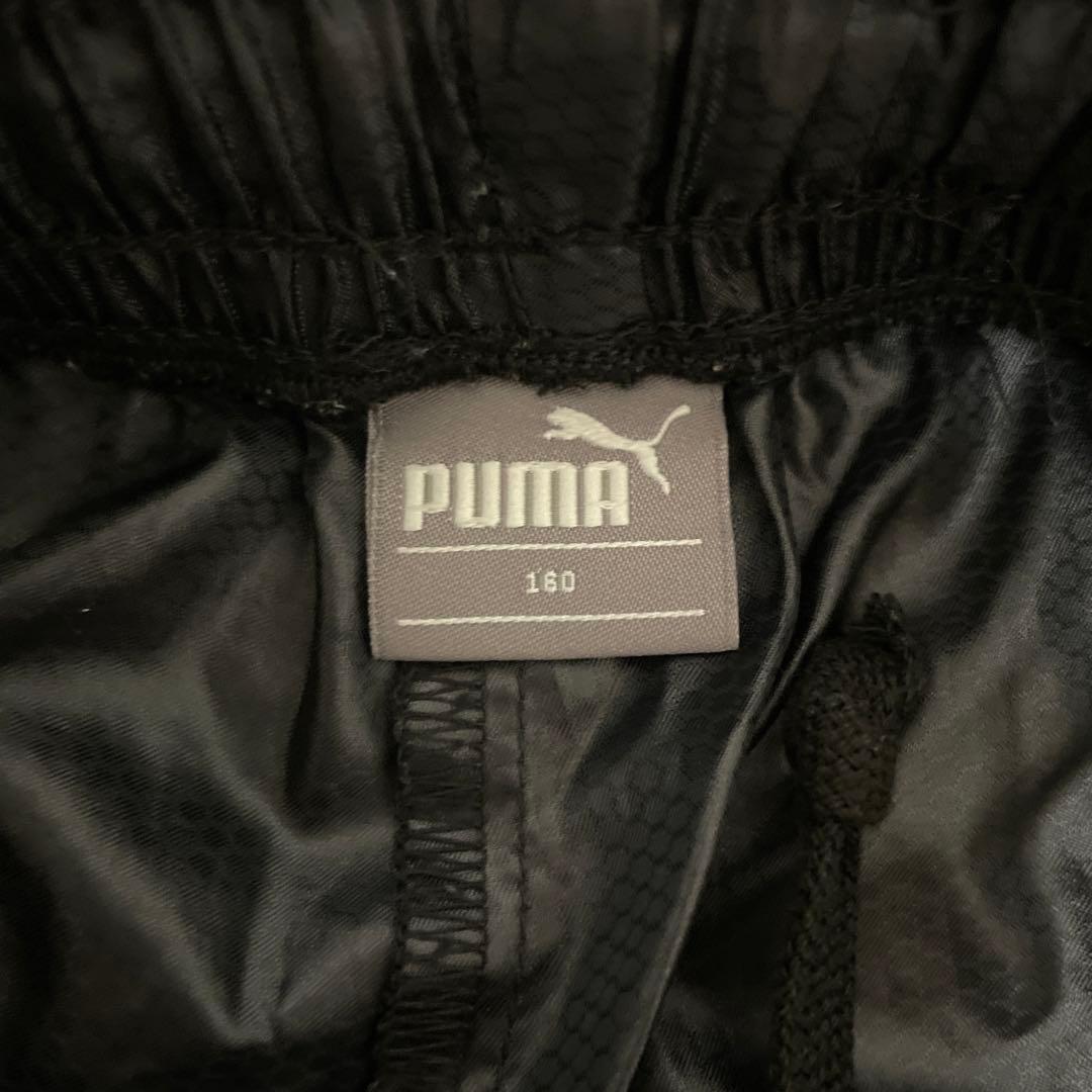 美品 PUMA BVB09 ボルシア ドルトムント ピステ セットアップ 160