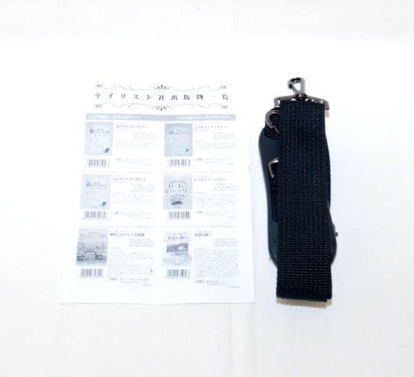 匿名配送☆大正琴 ライリッシュ LSS75 日本製 弦楽器 保管品 ケース付