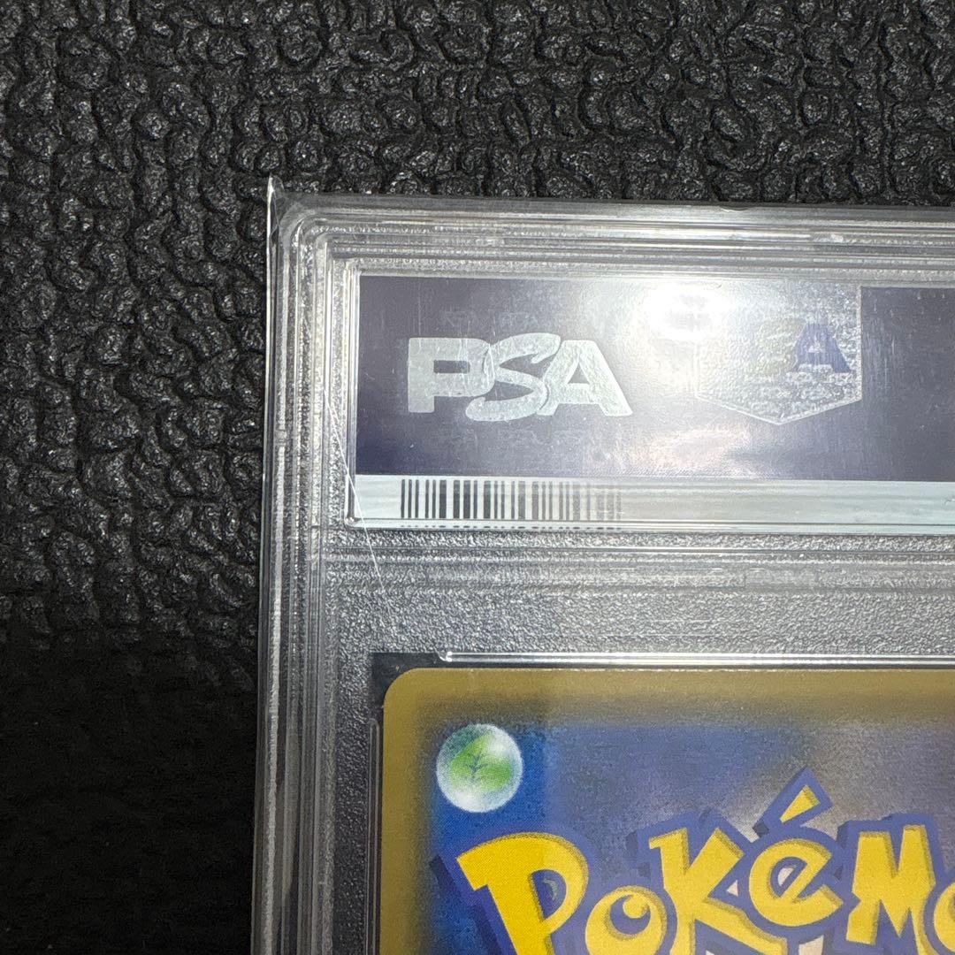 シロナ&カトレア psa10