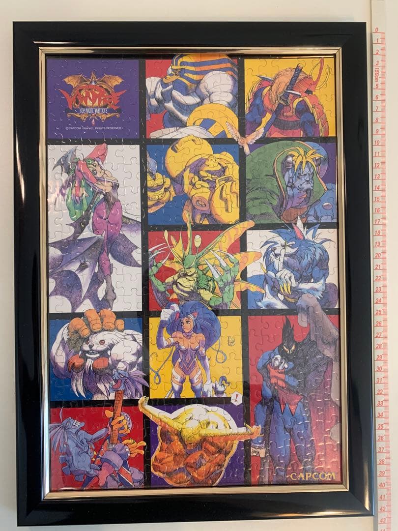 VAMPIER the night warriors ヴァンパイア闇の闘士たち