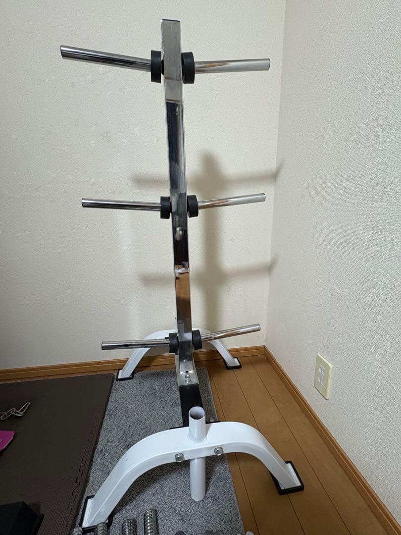 BODY DESIGN プレートラックDX付 ホームジムセット 【引き取り限定】