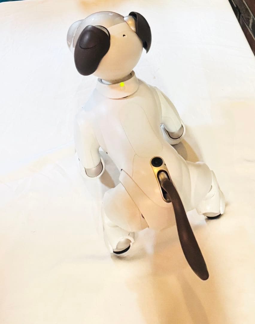美品 SONY aibo（アイボ）ERS-1000 ソニー　アイボ