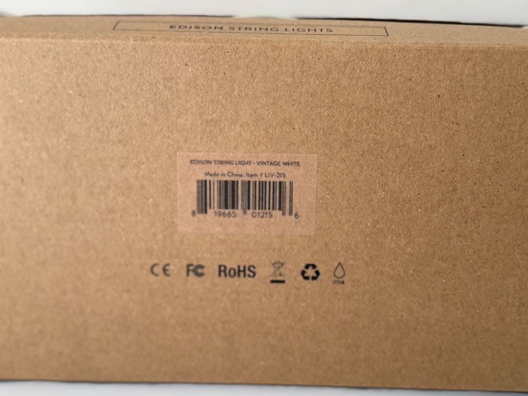【正規品　新品】Barebones Livingエジソンストリングペンダント