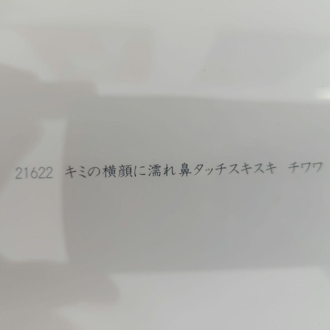 ポストカード　北村直登　チワワ　複製　ペイントフレーム