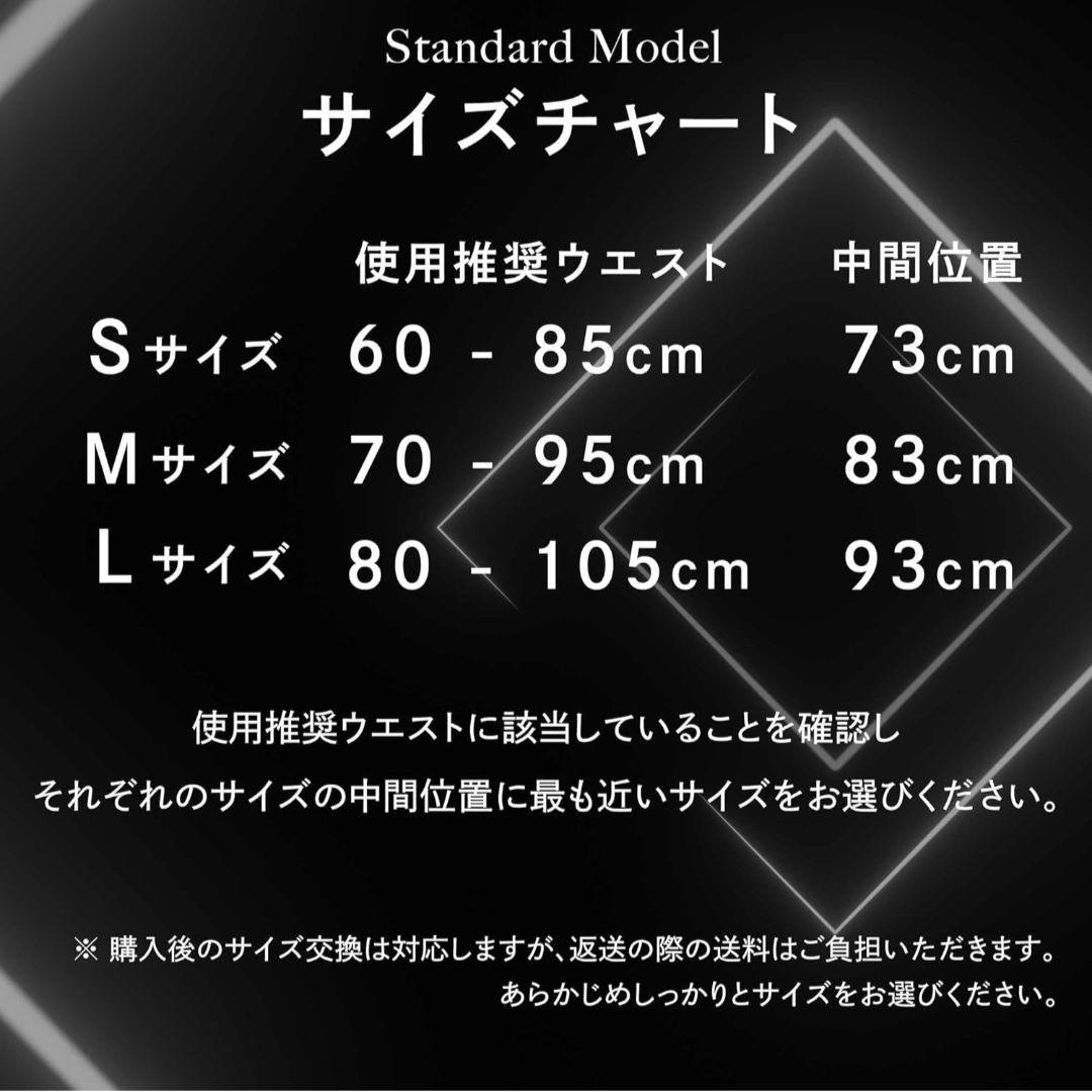 【新品未使用】AZLIV レバーベルト 10mm パワーベルト アズリブ