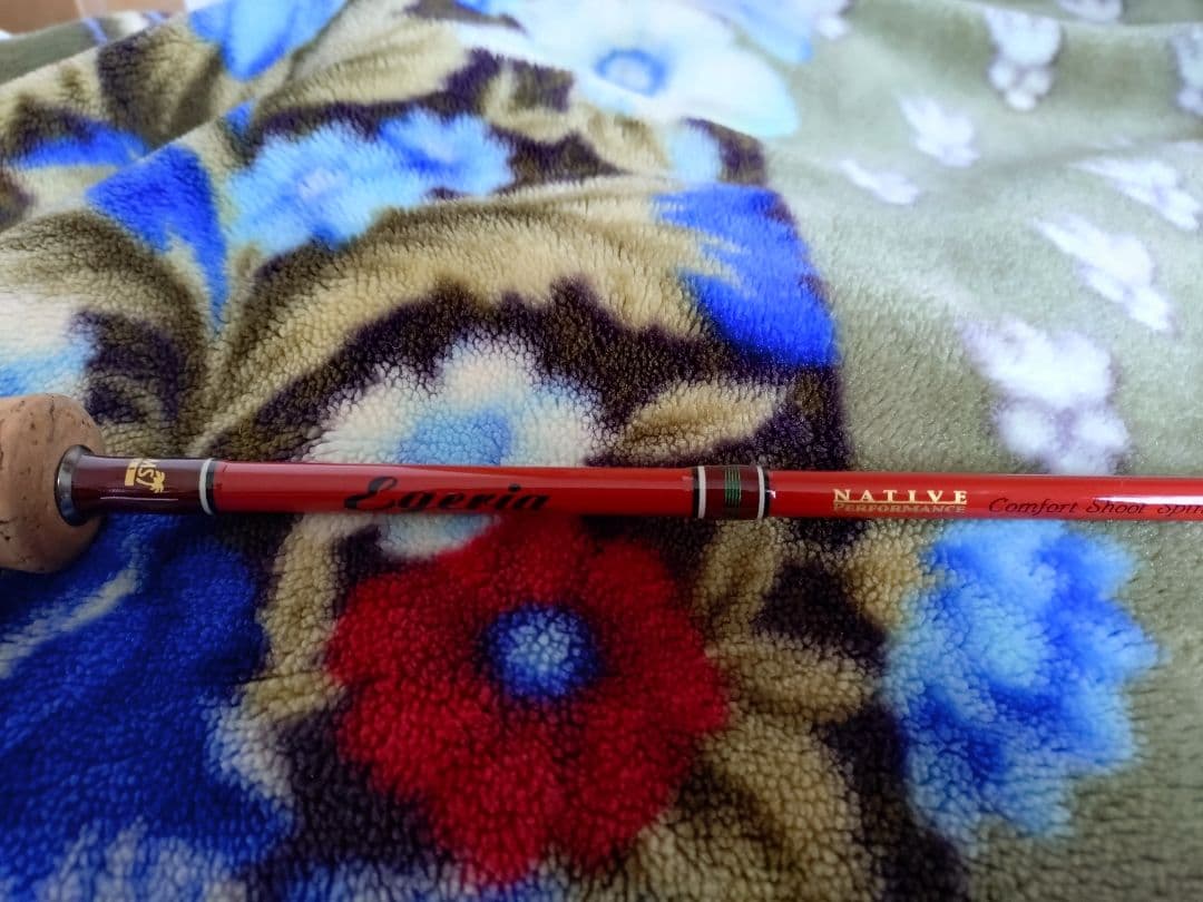 パームスNATIVE ERNS-56L 2ピースです。