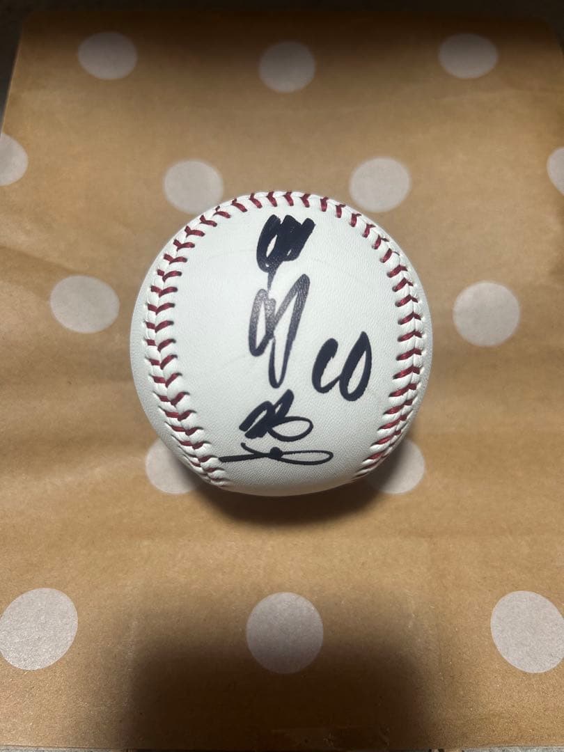 GIANTS 10甲斐拓也 投入れサインボール