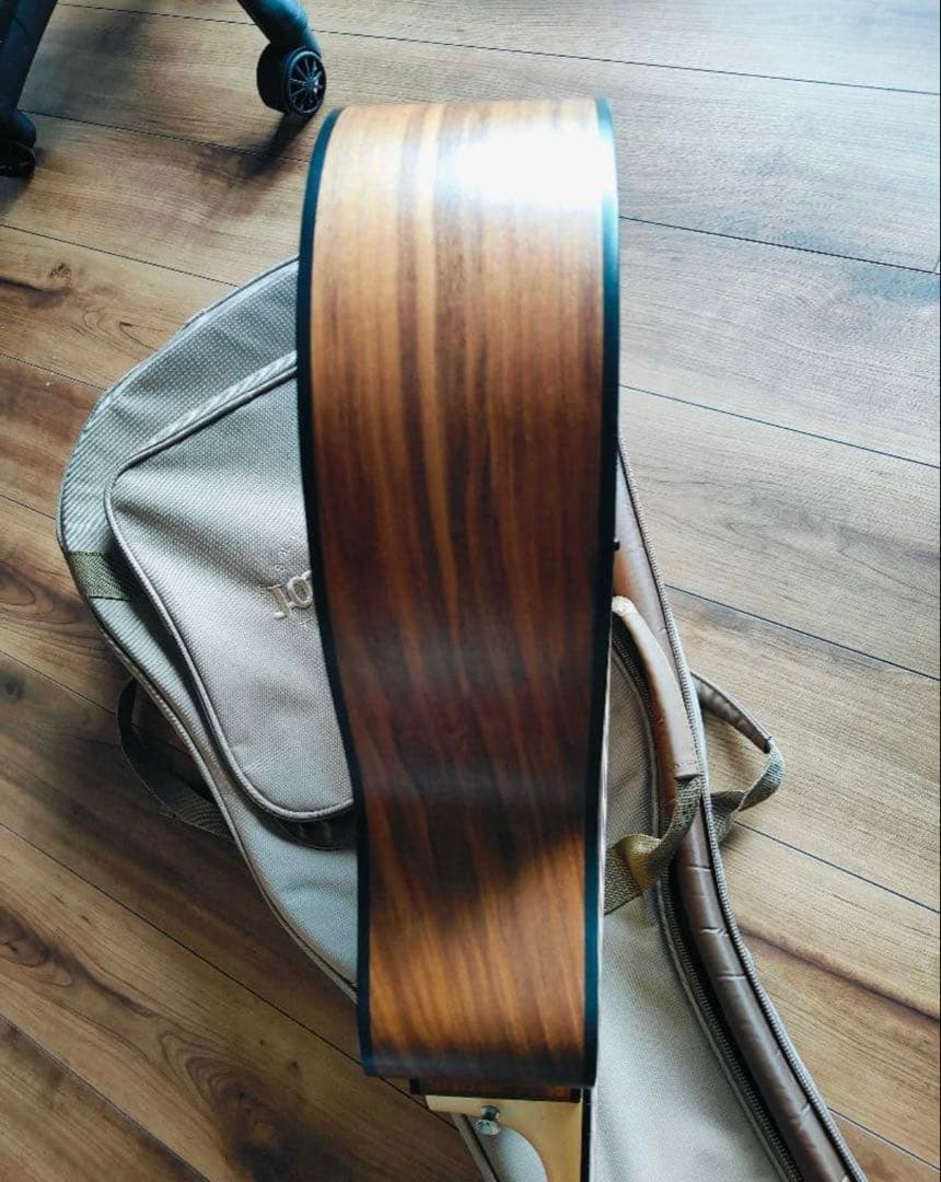 Taylor 114ce アコースティックギター専用ケース付き